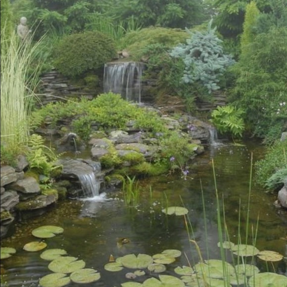 Meet your Posher, Rayne - Picture 1 of 1